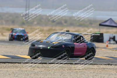 media/Mar-30-2025-Pro Autosports (Sun) [[34ff8f16e0]]/2-Blue-White Group/Main Race/